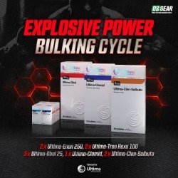 explosive power bulking cycle explosive power bulking cycle